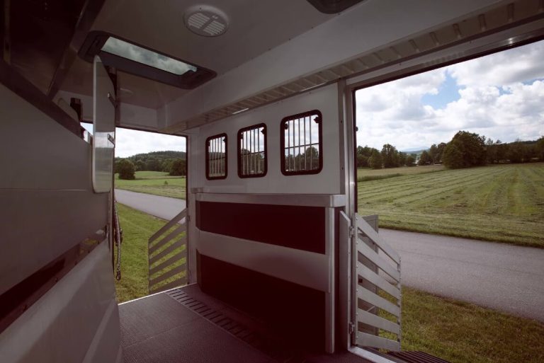 Horse+Truck+Actros 11