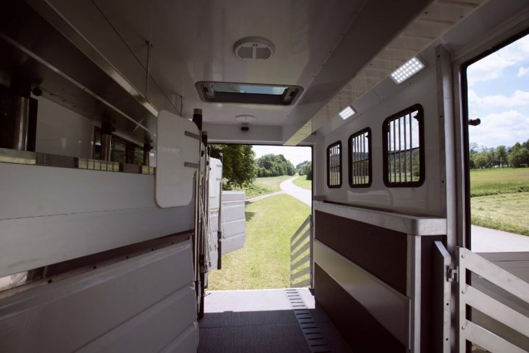 Horse+Truck+Actros 116